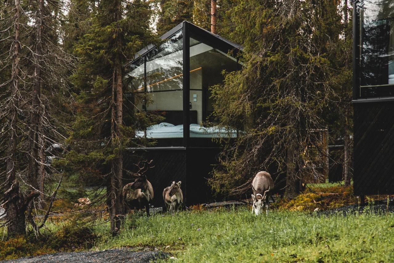 Magical Pond Nature Igloos Рука Экстерьер фото